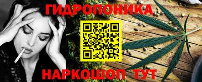 кокс Донской