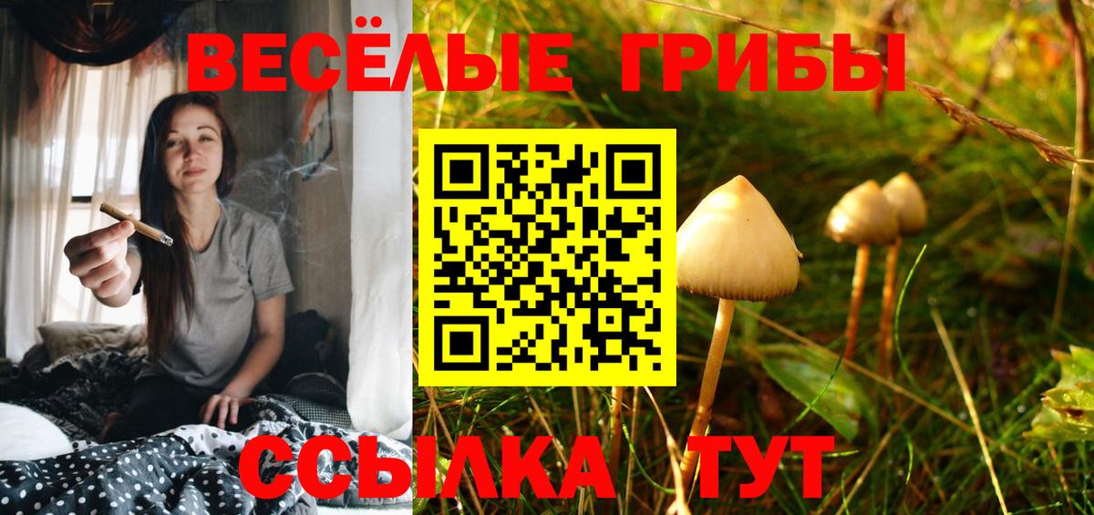 Майский  Галлюциногенные грибы Psilocybe  Галлюциногенные грибы прущие грибы  Вход с VPN 
