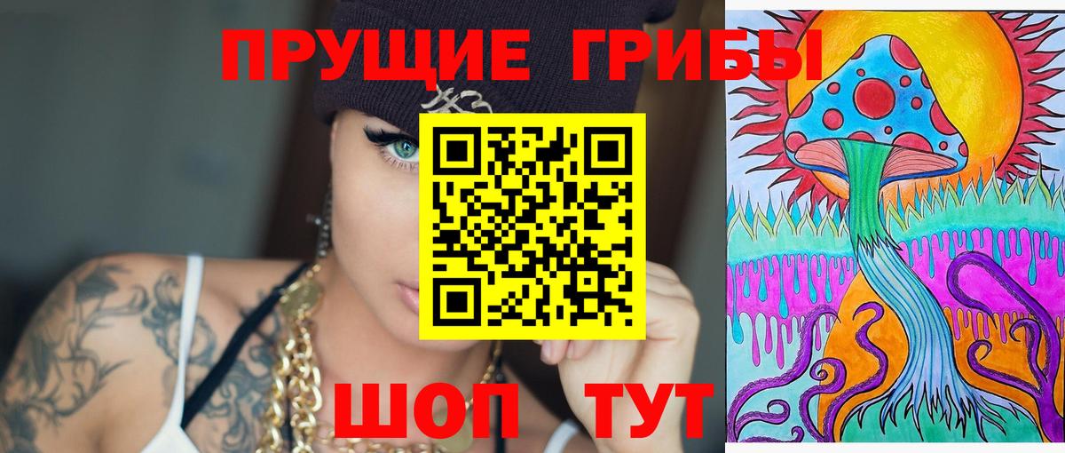 Псилоцибиновые грибы мицелий Майский